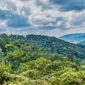 bwindi 1 85x85