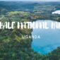 Kibale 1 85x85