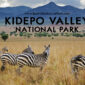 Kidepo 1 85x85