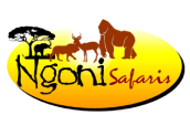 ngoni logo